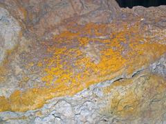 Auriferous volcanic breccia from Little Annie Mine, Colorado