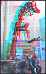 Anaglyph image of Denver Museum of Nature and Science