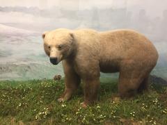 Alaskan Brown Bear diorama at Denver Museum of Nature and Science