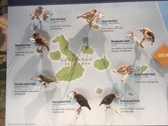 Darwin's Finches display at the Denver Museum of Nature and Science