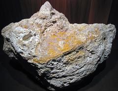 Auriferous volcanic breccia from Colorado