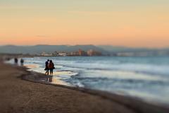 couple walking on the beach near sunset