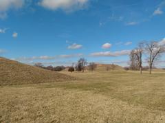 Monks Mound at Cahokia Mounds State Historic Site