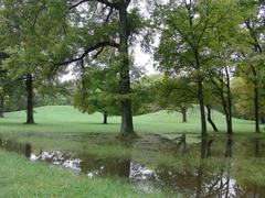 Panorama of Cahokia ancient mounds