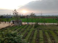 Jalandhar cityscape at sunset with scattered clouds