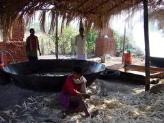 Mechanical crushing of sugar canes in Hospet, Karnataka