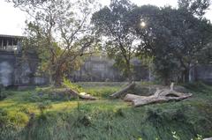 Alipore Zoological Garden in Kolkata