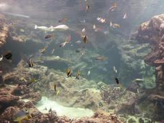 Oceánopolis aquarium in Brest, France