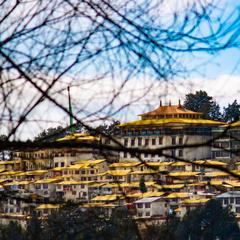 Tawang Monastery through blurry branches on a sunny day