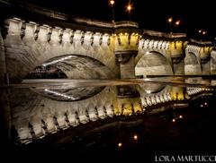 night reflection of a bridge over a river in Paris