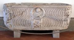 Roman sarcophagus with lions on the sides