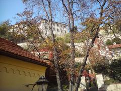 autumn landscape with vibrant foliage and a clear sky