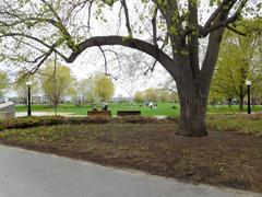 Major's Hill Park in Ottawa with view of green spaces and historic buildings