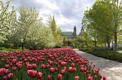 Tulip Parade in Ottawa with a view towards Parliament Hill