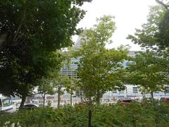 Parc Major's Hill in Ottawa with trees and the U.S. Embassy in the background