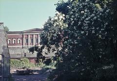 Sinebrychoff Park with a brick building on a hill and a greenhouse on the left