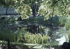 Pond in Sinebrychoff Park with wooden storage building in the background