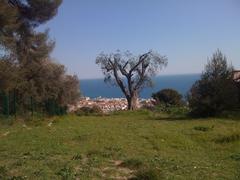 Estienne-d'Orves Park in Nice, France