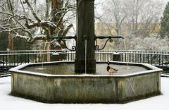 Parc Mon-Repos fountain and duck