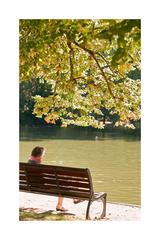 Person sitting on a bench reading in Parc de l'Orangerie