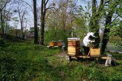 beekeeper working at Parc de l'Orangerie