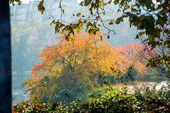 Autumn colors in Strasbourg