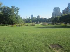 Formal Garden in Lincoln Park with vibrant flowers and structured hedges