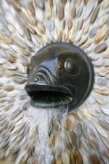 Detail of public art fountain in Vienna, Austria