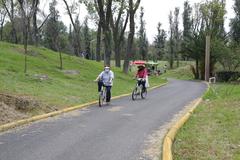 People bicycling in a park with a street vendor cart in the background