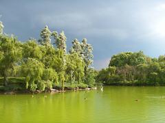 Pond in Parque Tezozómoc, Mexico City