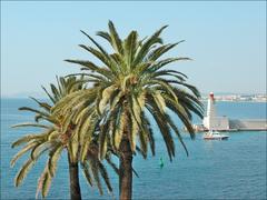 view of Nice port entrance with two Phoenix canariensis from grand seminary