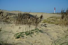 Île de Ré Lighthouse in Charente-Maritime