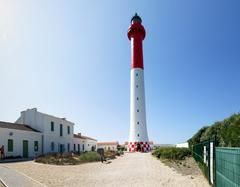 Phare de la Coubre lighthouse surrounded by lush greenery under a blue sky