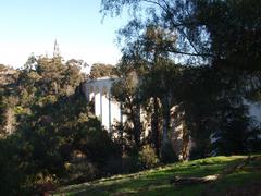 view of Cabrillo Freeway bridges with lush greenery