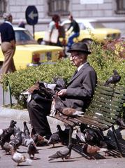 man feeding pigeons at Piazza San Marco in 1977