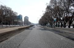 Plac Grunwaldzki historical view with trees, cobblestone pavement, and old street lamps