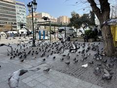 Pigeons on Resistance National Square in Athens.