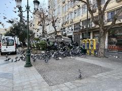 Pigeons on Résistance Nationale Square in Athens