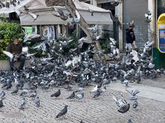 Pigeons on Place de la Résistance Nationale in Athens