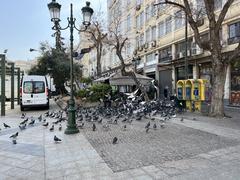 Pigeons on Place de la Résistance Nationale, Athens