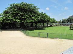 Square de l'Île-de-France at the eastern end of Île de la Cité, Paris