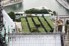 Square de l'Île-de-France from Notre-Dame de Paris