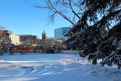 Calgary New Year's City walk 2014