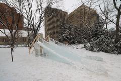 New Year's Day snow slide in Calgary 2017