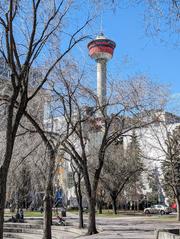 Olympic Plaza and the Calgary Tower