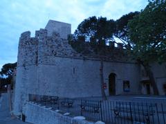 Musée de la Castre building