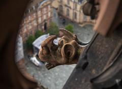 Strasbourg Cathedral gargoyle