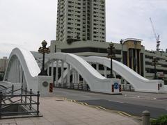 Elgin Bridge in Singapore during the night