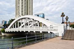 Elgin Bridge on the Singapore River