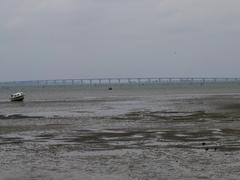 A picturesque bridge over water in Charente-Maritime, La Tremblade, Ronce-les-Bains